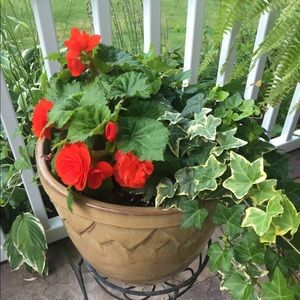 Meet your Posher, Melanie